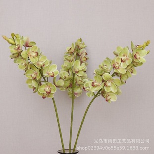 �S��ֱ�N���l ����ޥ�m�Gɫ ���滨 �ٻ� ��c�b� �ҾӔ[��