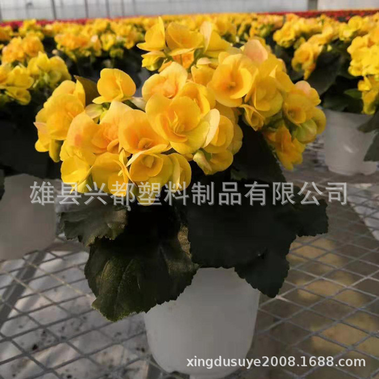 微信图片_20190731114859