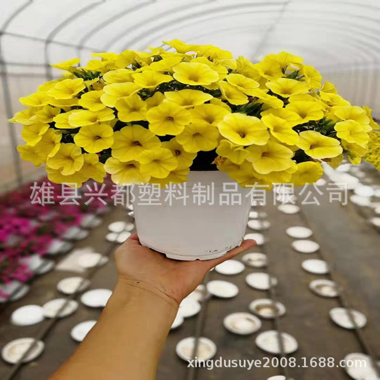 微信图片_20190727154223