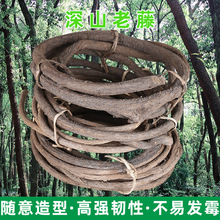 ������ٗl��ɽ���b����滨�ٻ����ڵ�����������٘�֦�ݘ���