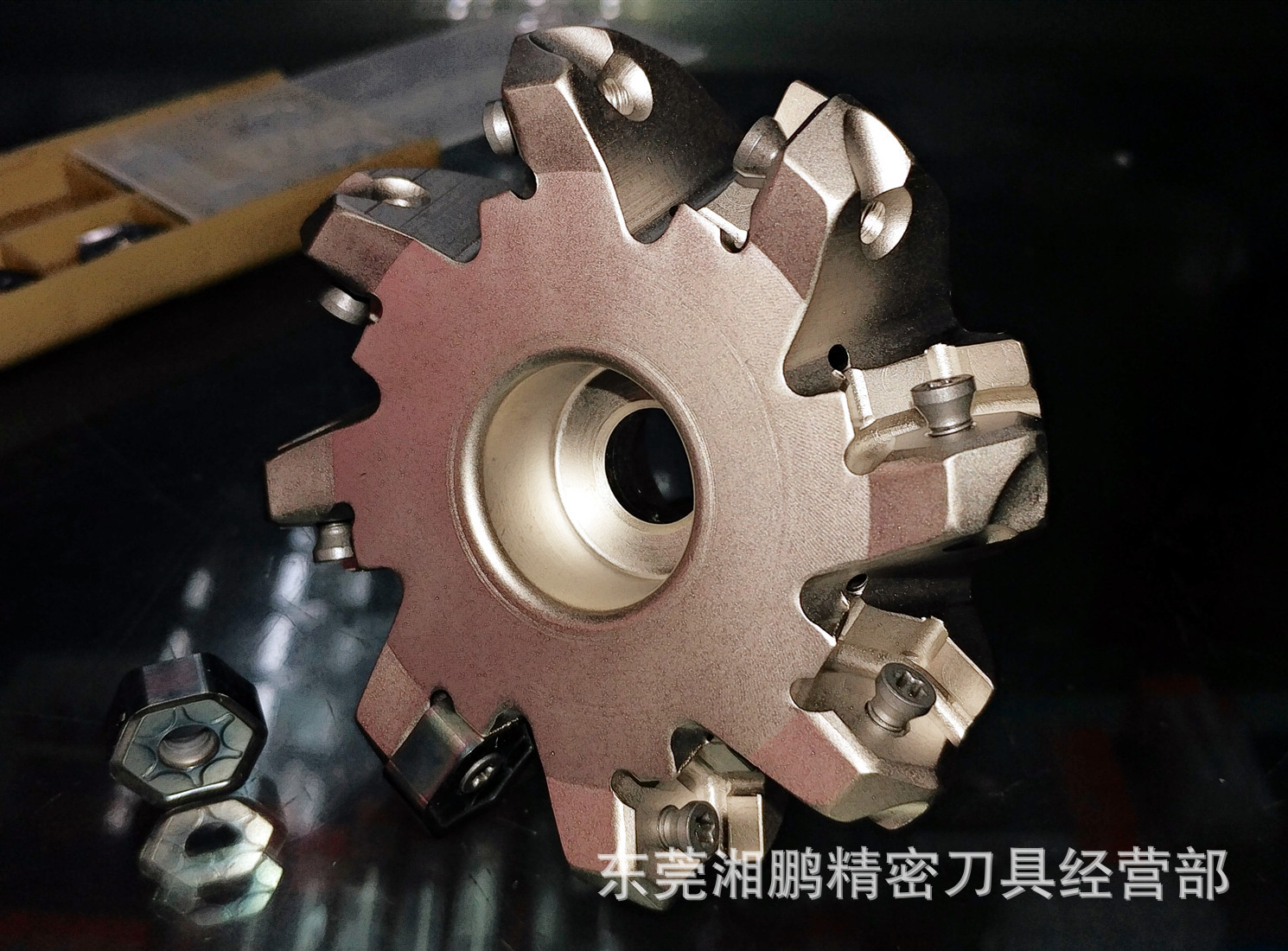 双面王刀盘  080A08R-S45HN09-C R220.48-160 刀盘