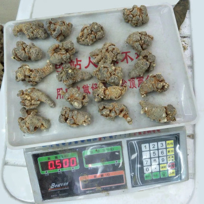 23頭雲南文山三七頭産地直銷三七田七500克（23-24頭）三七批發