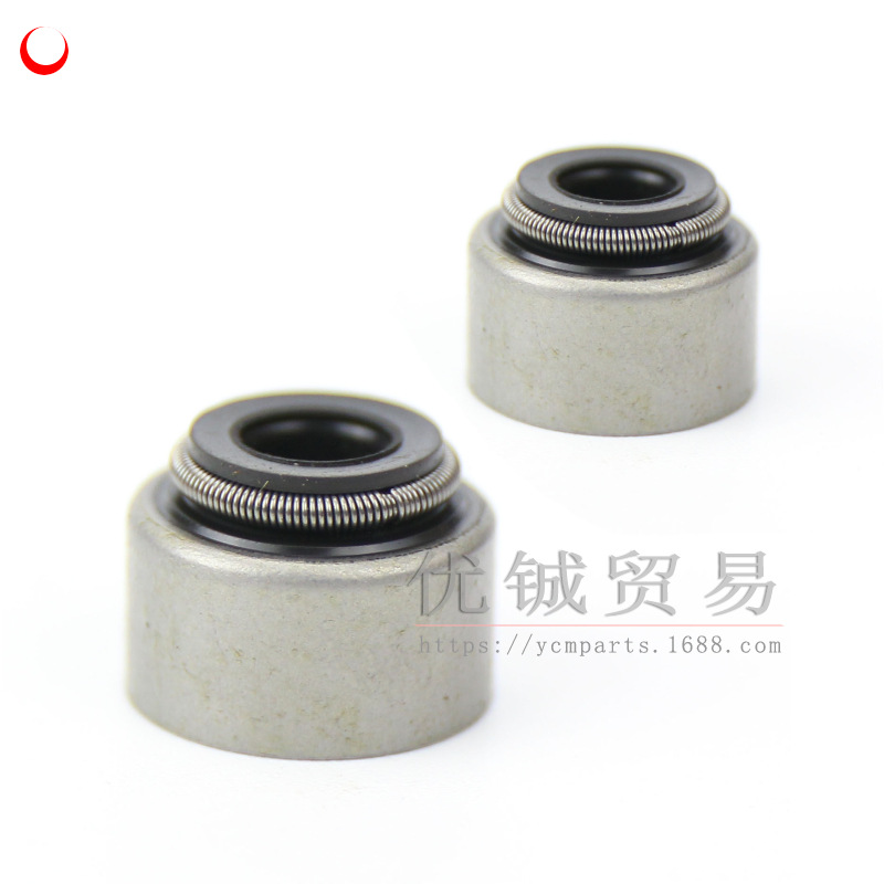 169气门油封5g (2)