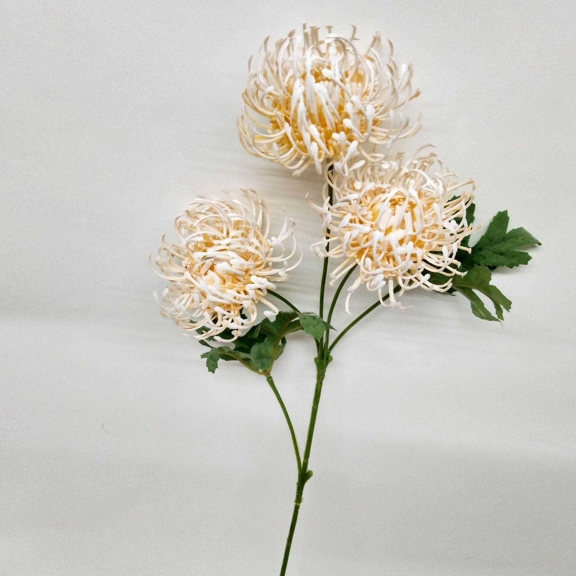 微信图片_2019060611471510