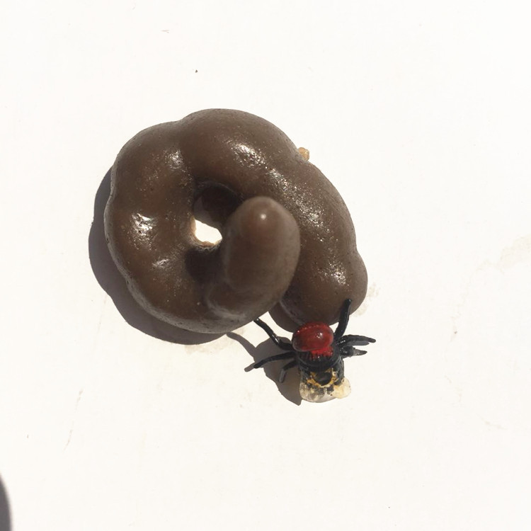 b38fcd4ee6a92921ff90de18abd992