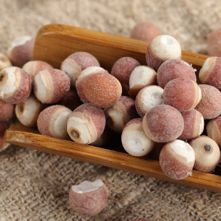 �͌��a��؛Դ�����͌�  ���x�x�b�͌� ɢ�bɏ���r���Ԯa