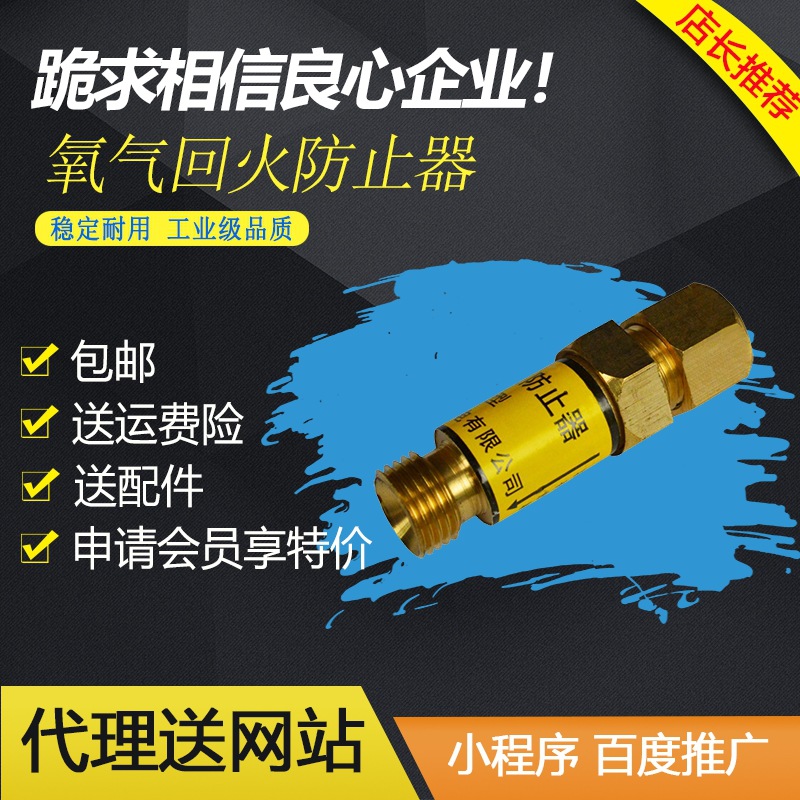 厂家特价直供 氧气回火器型号HF-2 干式回火防止器 回火阀|ru