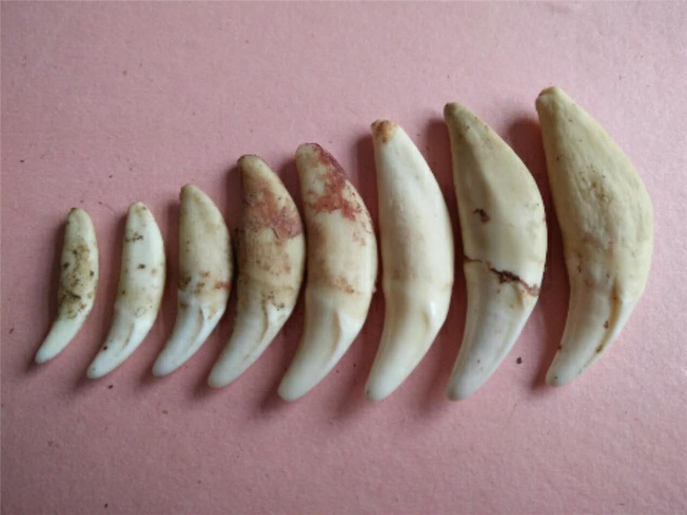 微信图片_20180903221200_副本