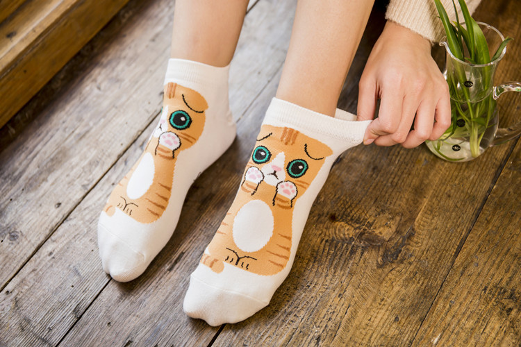 Frühling Und Sommer Damen Baumwoll Socken Großhandel Niedliche Cartoon Katze Damen Boots Socken Mode All-match Kurze Socken Lässig Schweiß Absorption display picture 8