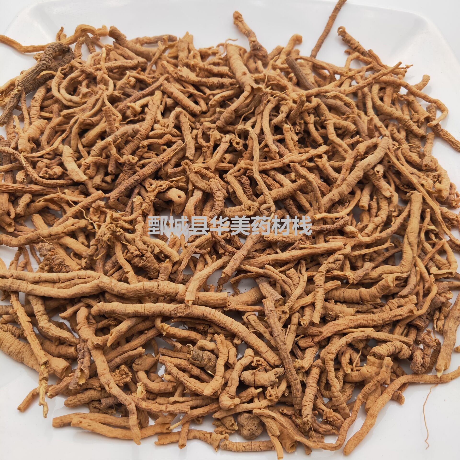 远志1000克 华美中药 中药材批发现货供应中号 远志 量大从优-阿里巴巴