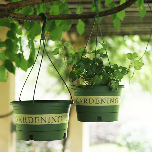Amazon Gallon Flower Pot Hanging Basket Hanging Basket Chlorophytum Hanging Pot Flower Pot Hanging Resin Pothos Hanging Basket Wholesale