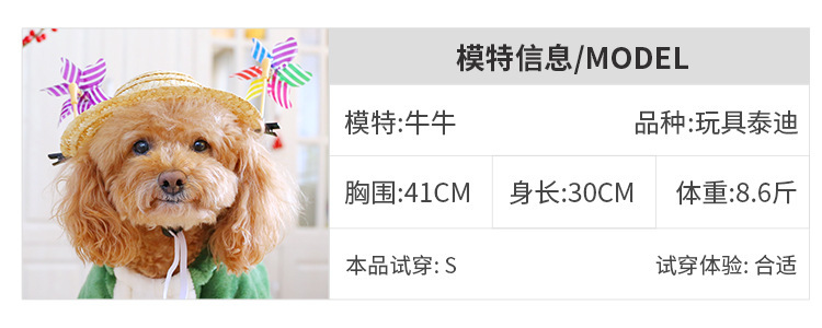 泡泡龍變身裝模特試穿-牛牛