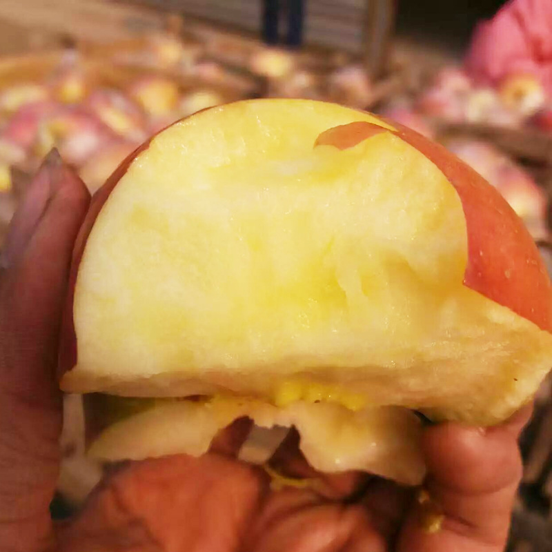 新鮮紅富士蘋果非花牛果奶油蛇果砀山當季水果壹件代發包郵10斤裝