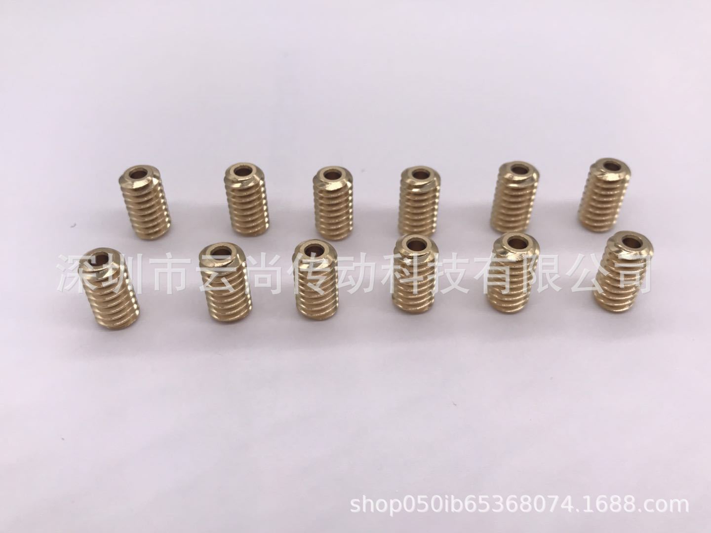 开窗器蜗杆齿轮链条开窗器蜗杆齿轮双头蜗杆铜蜗杆0.5M双头蜗杆