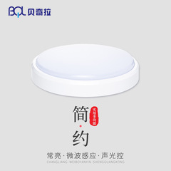 Waterproof Ceiling Lamp with CE Certification for Foreign Trade, IP65 Waterproof, Dustproof, and Corrosion-Resistant LED Ceiling Lamp