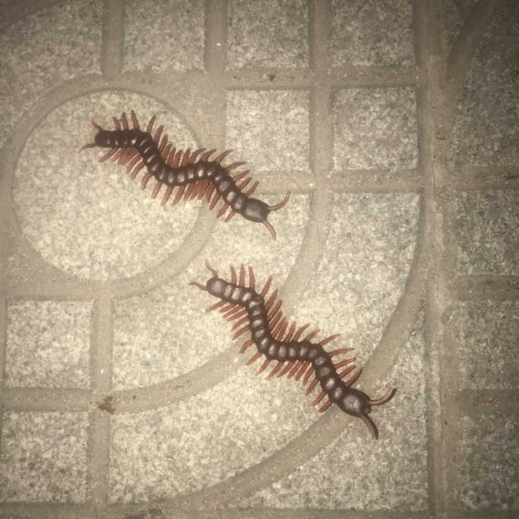 ee645bb5ae050b8405849c143f7e12