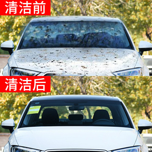 Car wash liquid foam water wax powerful decontamination polish cleaning coating agent car cleaning and maintenance set