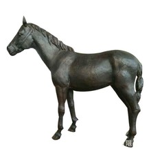 �~�R���� �Tʿ�R������� �Wʽ�_�R����ʿ��ʿ ���^���ܔ[��