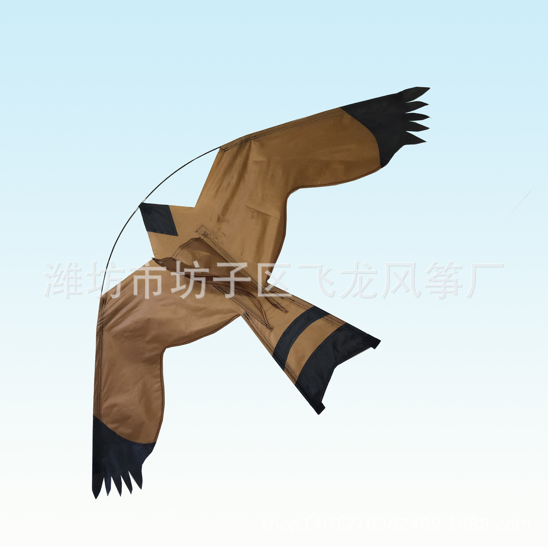 蓝色背景咖啡鹰副本