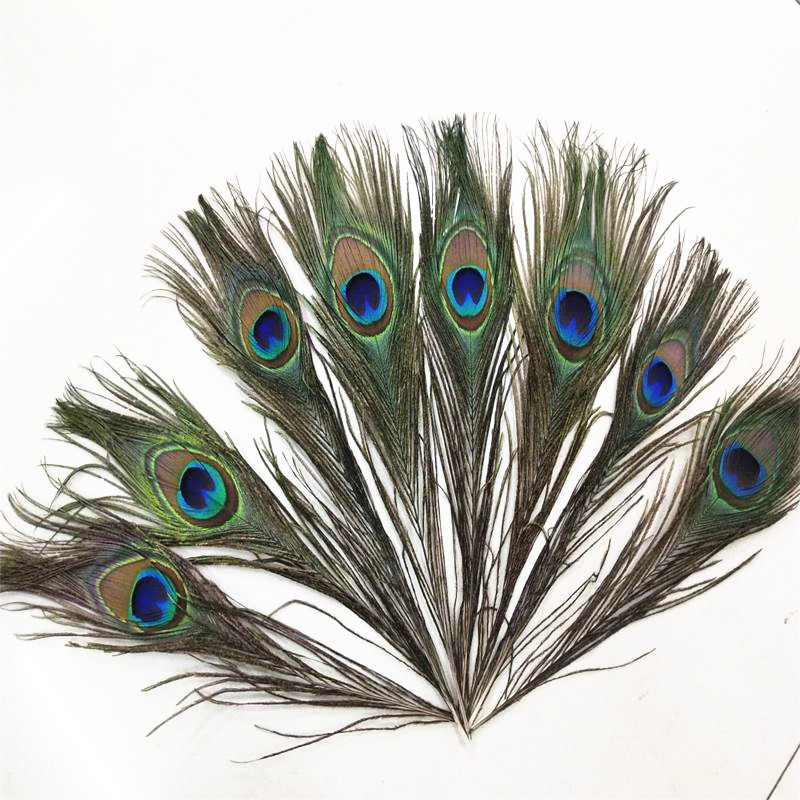 QQ图片20190411132839_副本