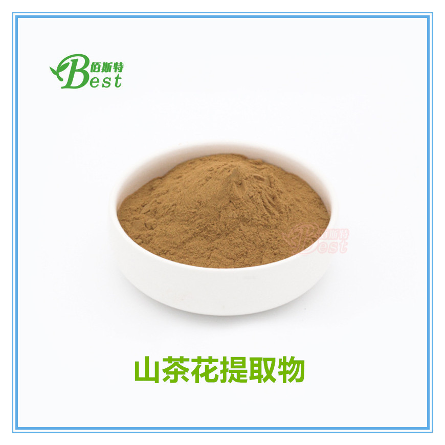 免费拿样 山茶花提取物 10：1 山茶花粉 1kg起订 厂家供应 现货