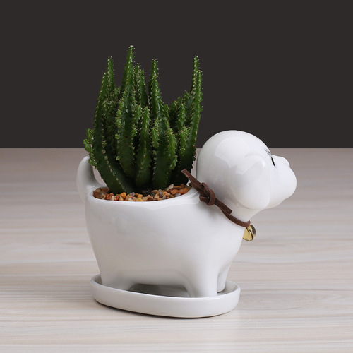 European simple cartoon puppy succulent flowerpot ceramic creative gardening desktop plant container home decoration ornaments