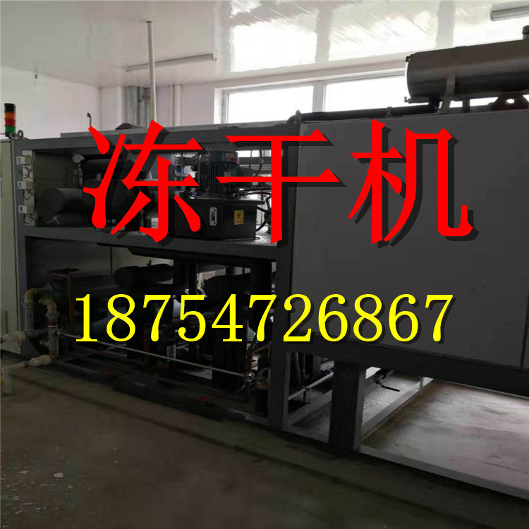 二手食品冻干机、二手海参冻干机 真空冷冻干燥机 实验室冻干机