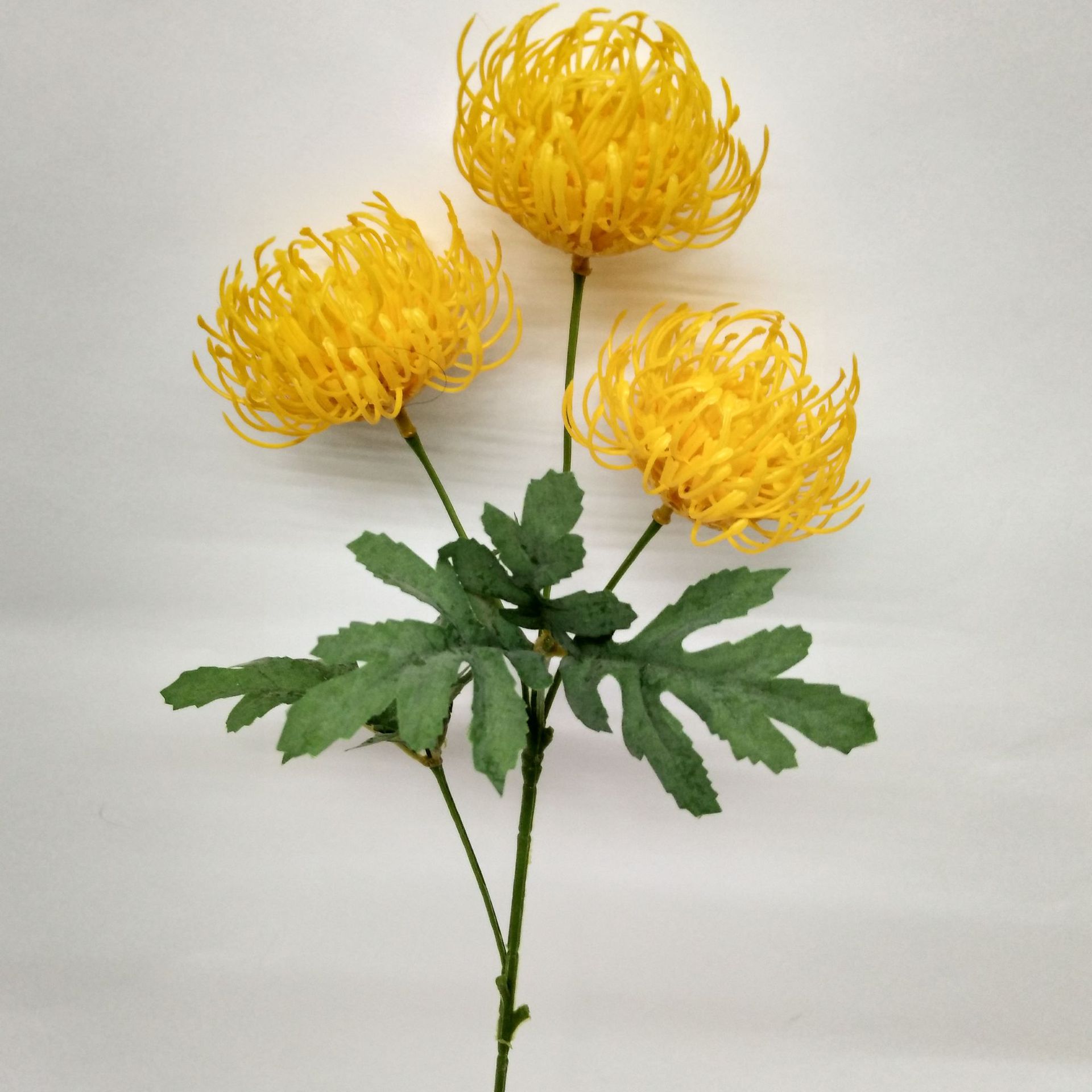 微信图片_201906061147158