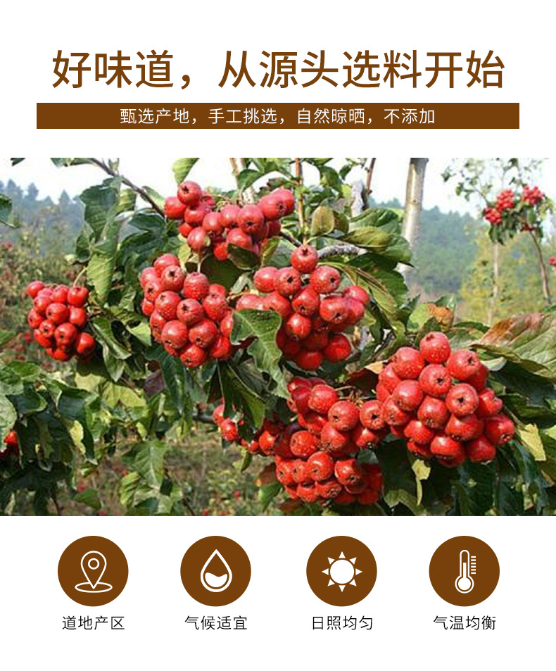 Hawthorn Berry Slices (Crataegus pinnatifida) — Dried Shan Zha for Tea & Soup, 180g Jar key features