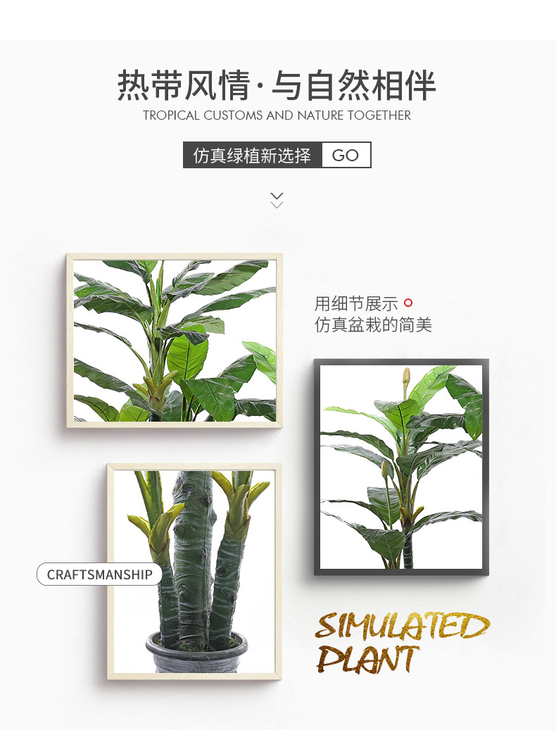 现代简约仿真16椰塑料过胶芭蕉类绿植清新无异味办公摆饰扇葵直发详情2