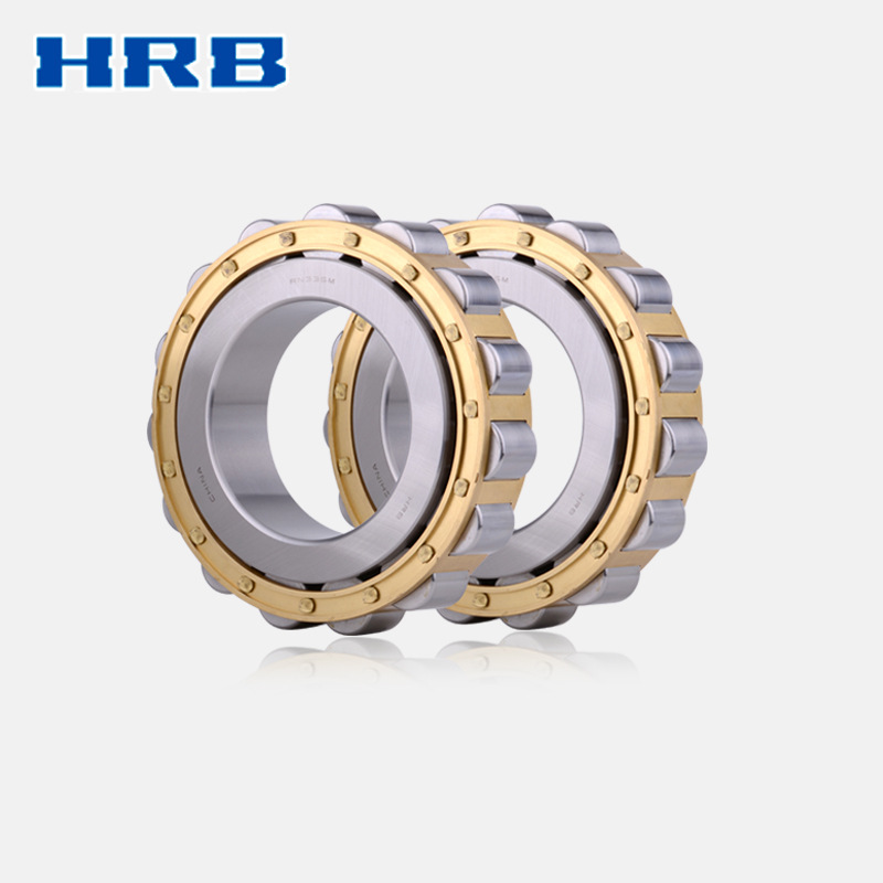 偏心轴承 RN336M RN205M RN206M RN207M RN208M