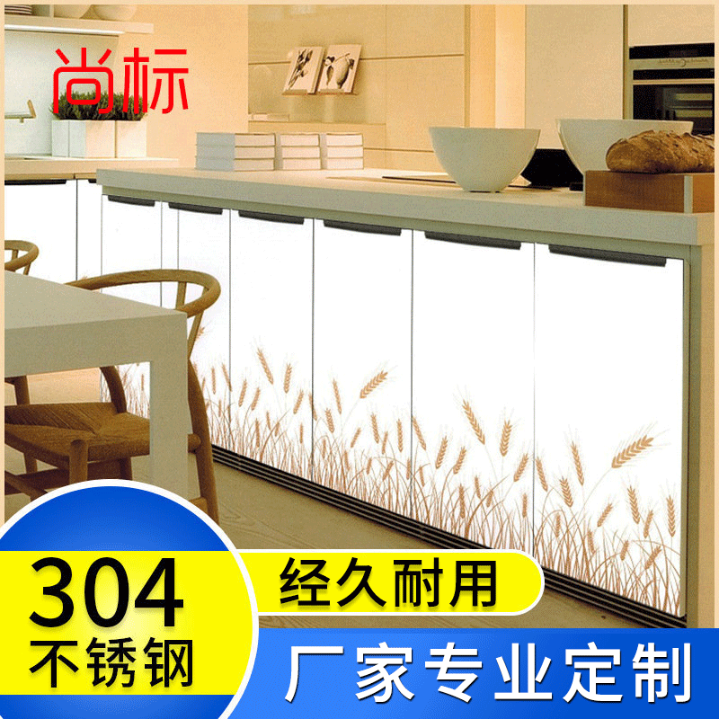 厂家直供 优雅系列晶钢门板橱柜 304不锈钢橱柜 家用不锈钢橱柜|ru