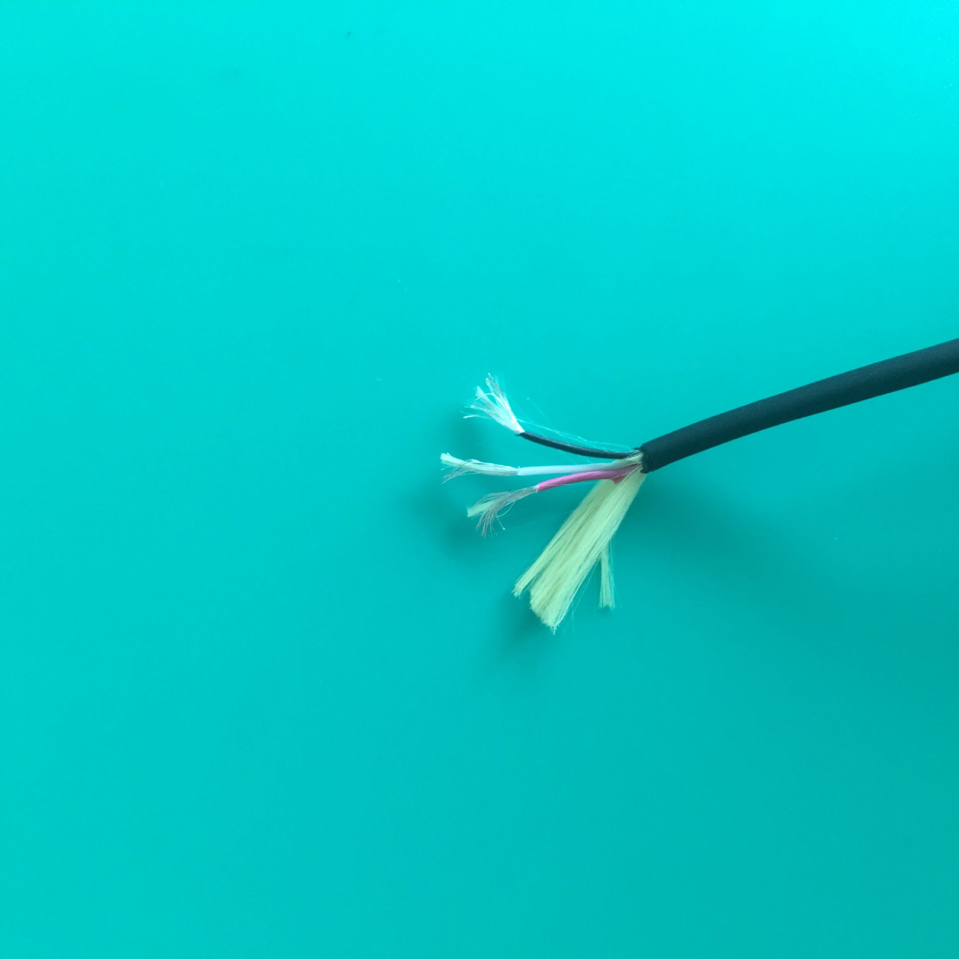 无卤聚酯tpu电线拖链伺服机自动化设备抗拉抗扭TPU电线可视锚鱼线