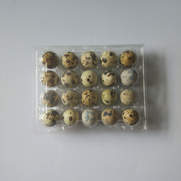 0E1D59A4CDA9BE839960ECA358CE78