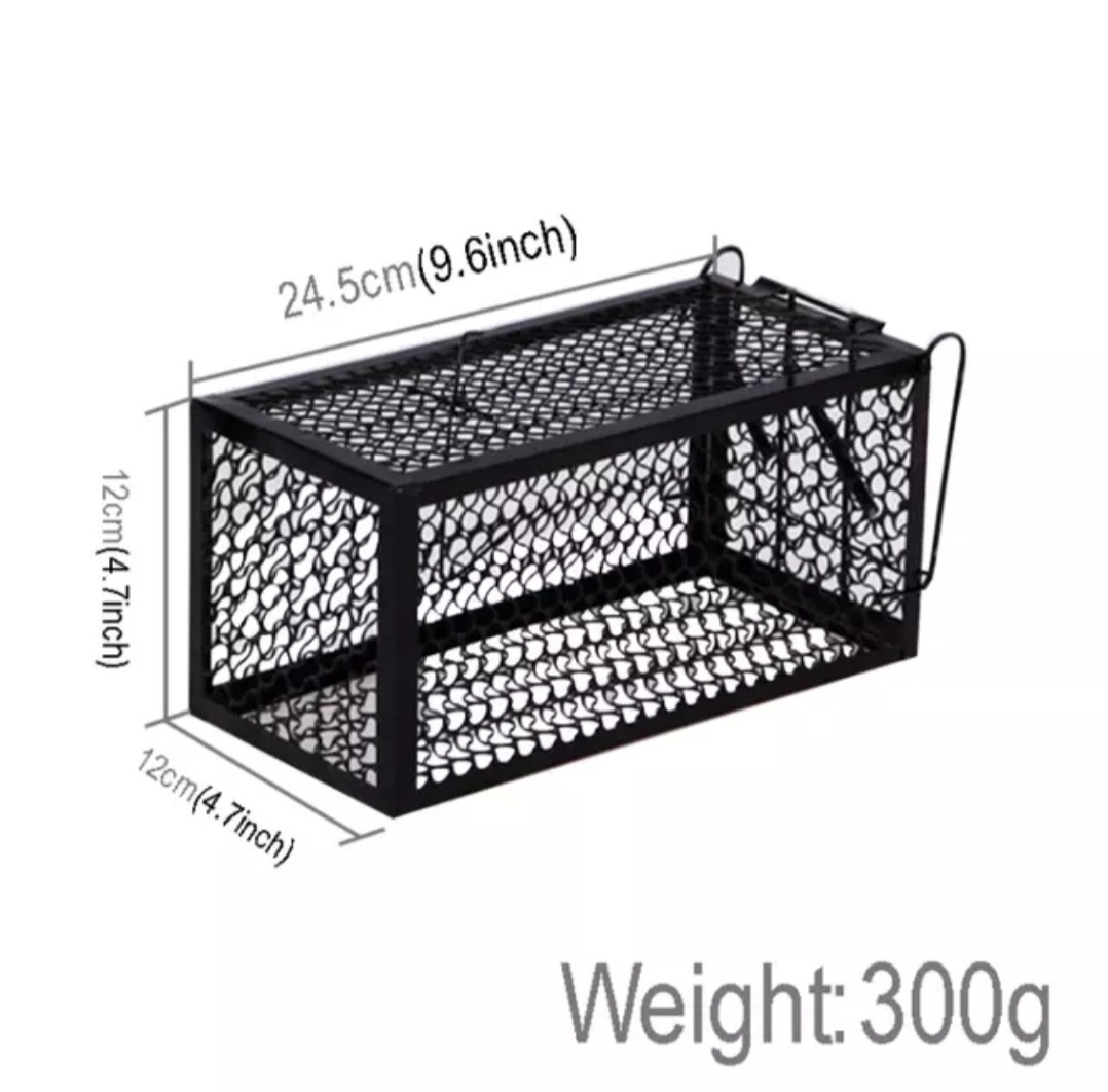 QQ图片20190925110117