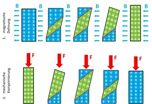 �ſ��Π�ӛ���Ͻ�MSMA��i扺Ͻ�Ni50/Mn28/Ga22