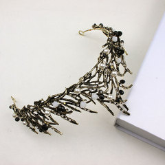 Bride's black large crown wedding dress headpiece evening accessory photography crown wedding photo with decorative accessories