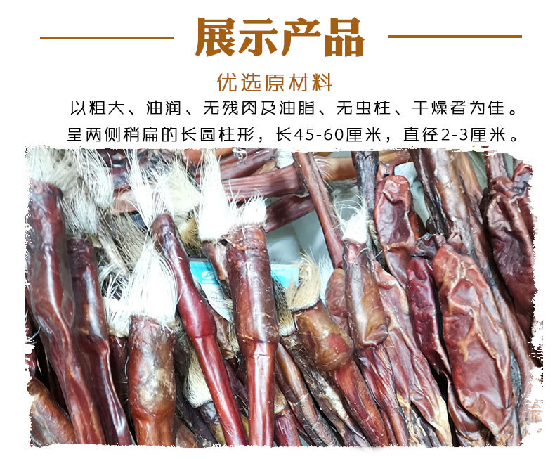 Deer Penis (Cervus elaphus) Whole Branch — Dried TCM Food Herb, Bulk Wholesale quality and texture