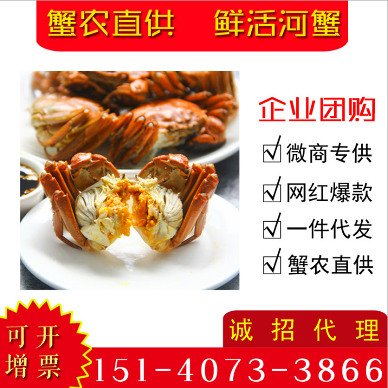 盘锦大闸蟹5元蟹支持一件代发海鲜河蟹单位福利微商爆款诚招代理