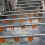 气泡成套定制预制洗菜机