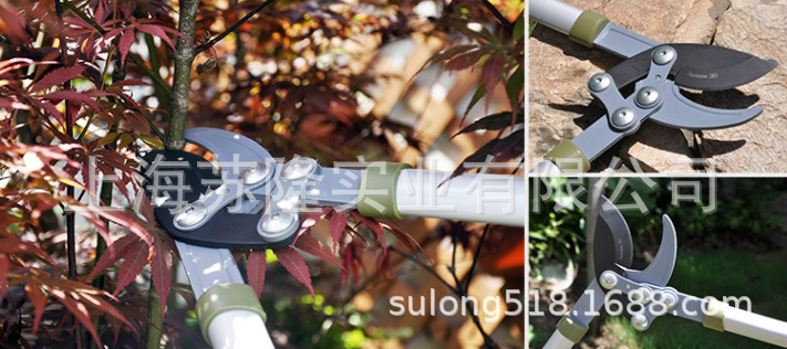 园艺园林工具 沃施高枝剪1239 修粗枝老硬干枯果树枝