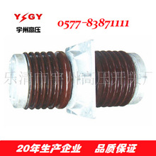 ��ӦCMWW-20/270   CMW-20/270��ѹĸ�ߴ�ǽ�׹�