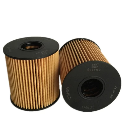 Peugeot 307308408301 Sega Oil filter