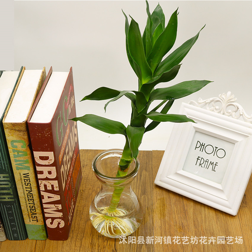 TB242WBrt0opuFjSZFxXXaDNVXa_!!