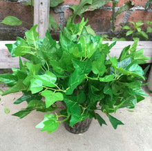 7ع~ G}~fGֲֲĳ~ϻbٻ