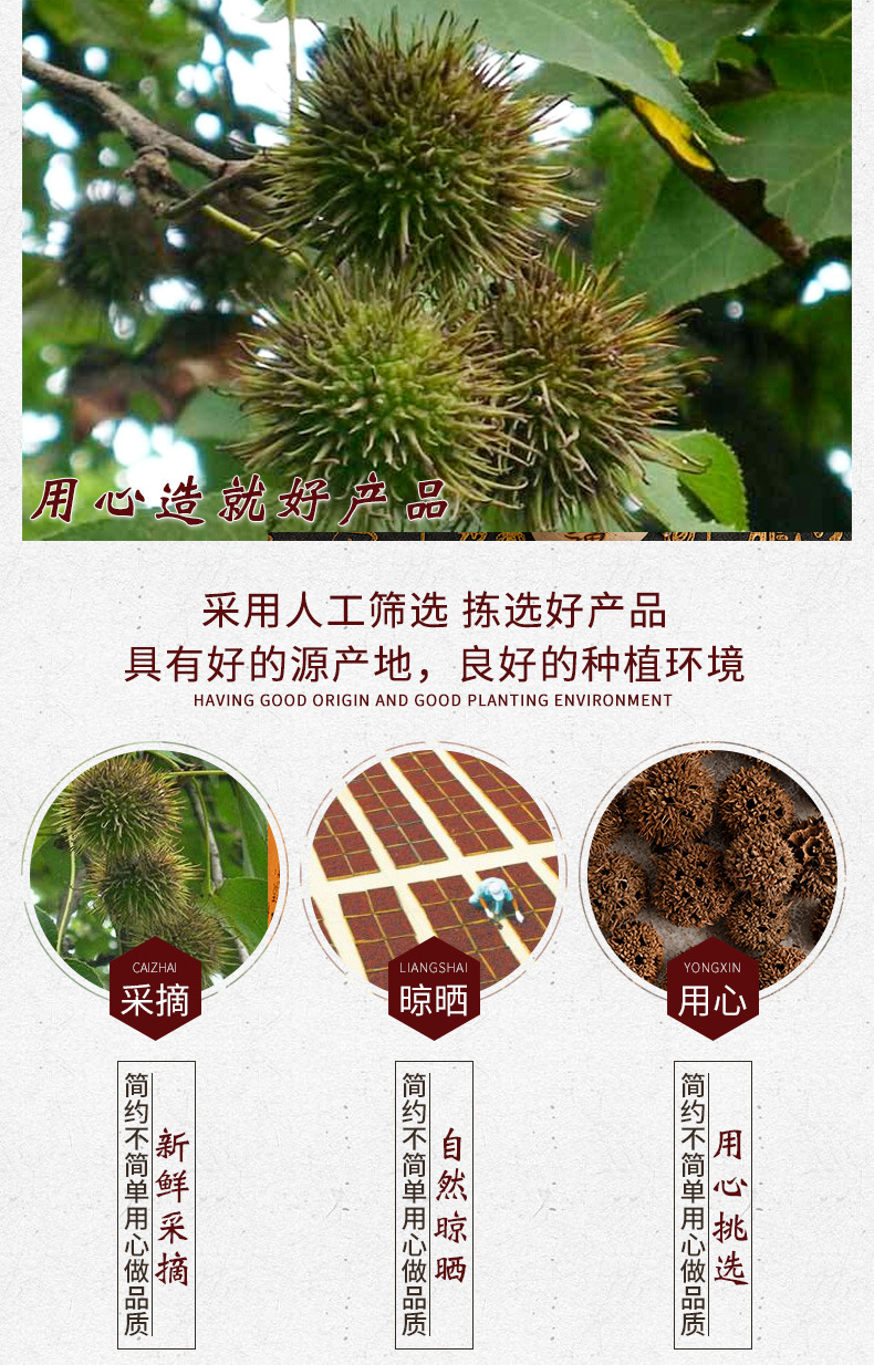 Lu Lu Tong (Liquidambar formosana) — Dried Sweetgum Fruit for Herbal Tea & Soup quality and texture