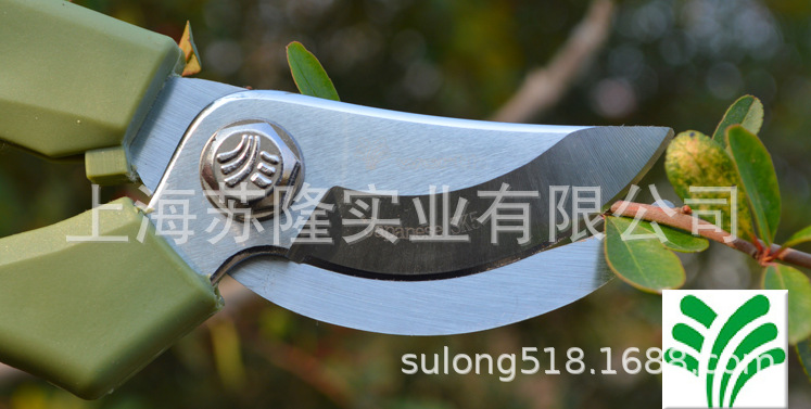 果蒂花枝盆栽.25 沃施1068修枝剪 苗圃果园林园艺剪刀工具