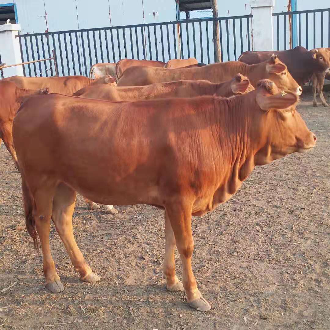 微信图片_20190820161905