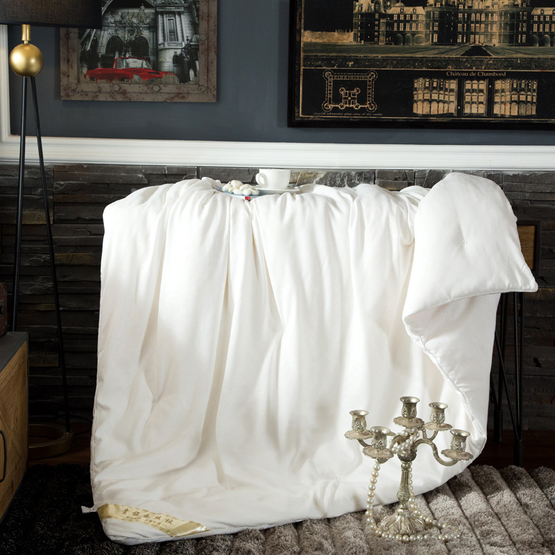 Brushed Silk quilt 100% mulberry silk+Tussah manual Floret Silk was core summer quilt agent