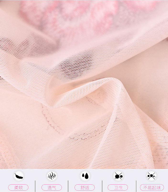 Embroidered Underwear Women's Transparent Sexy Women's Perspective Comfortable Cotton Crotch Mid-Waist Briefs Women's Hip